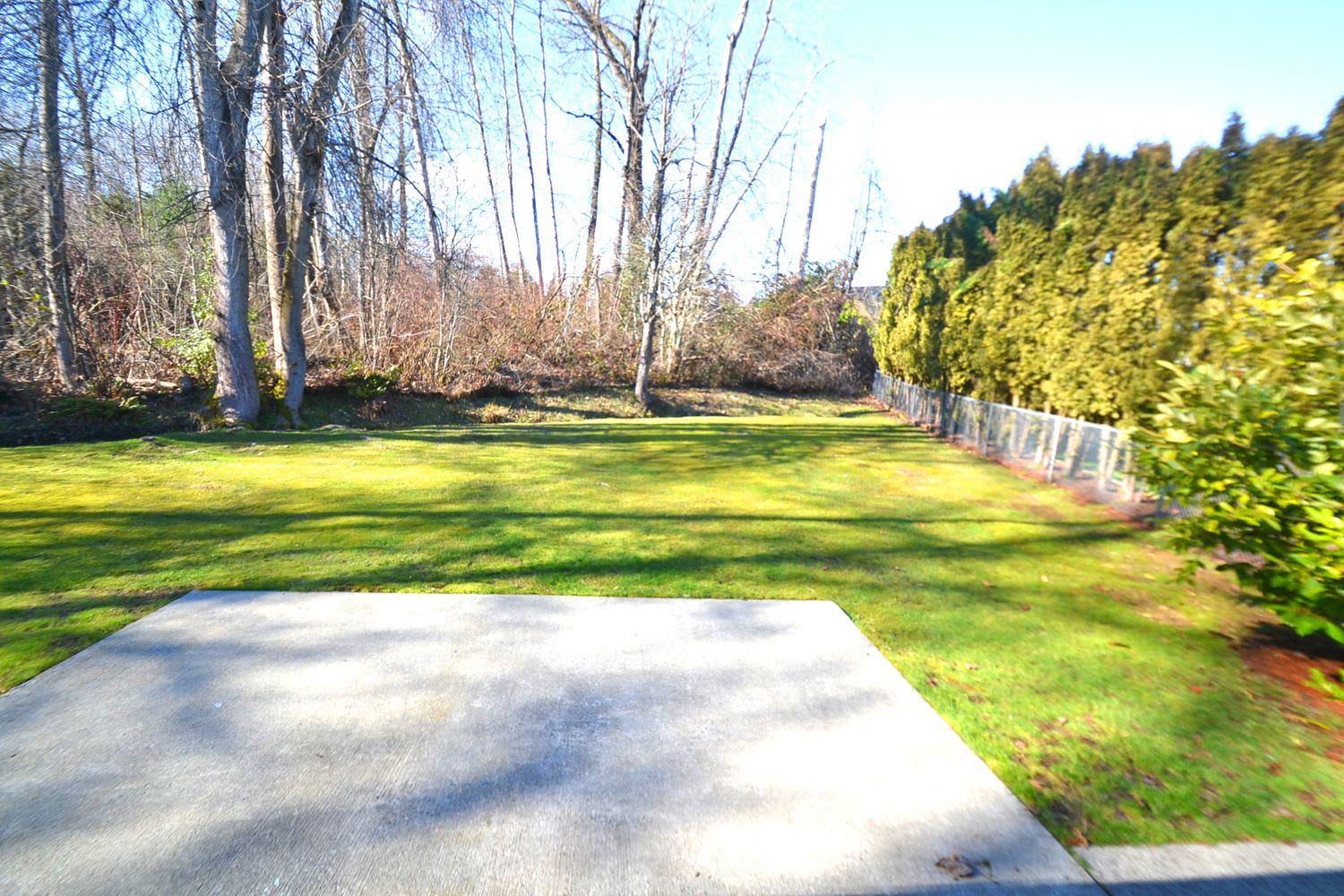 17225 125th Ave SE, Renton photo 21