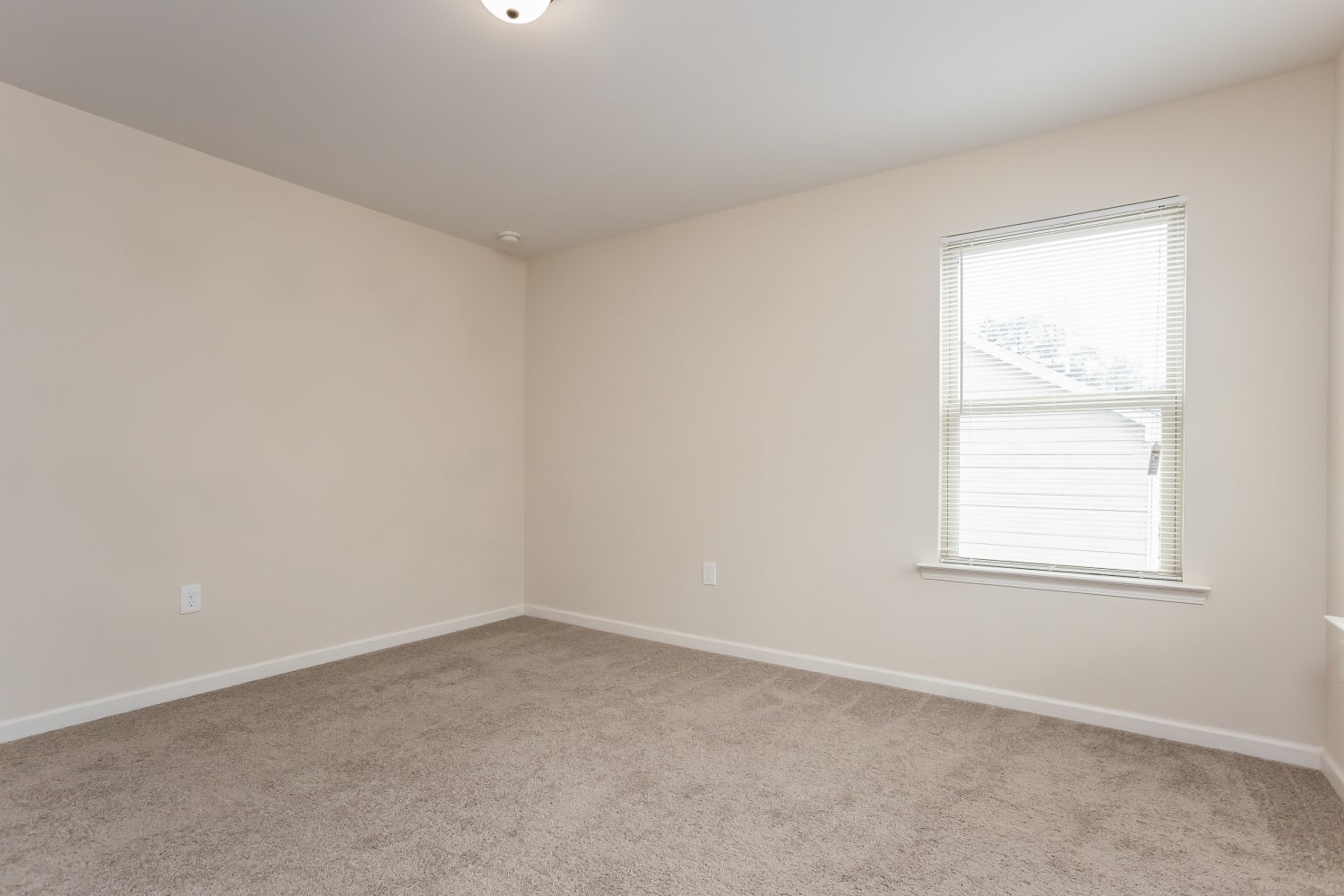178 Forrest Park Ln, Dallas photo 11