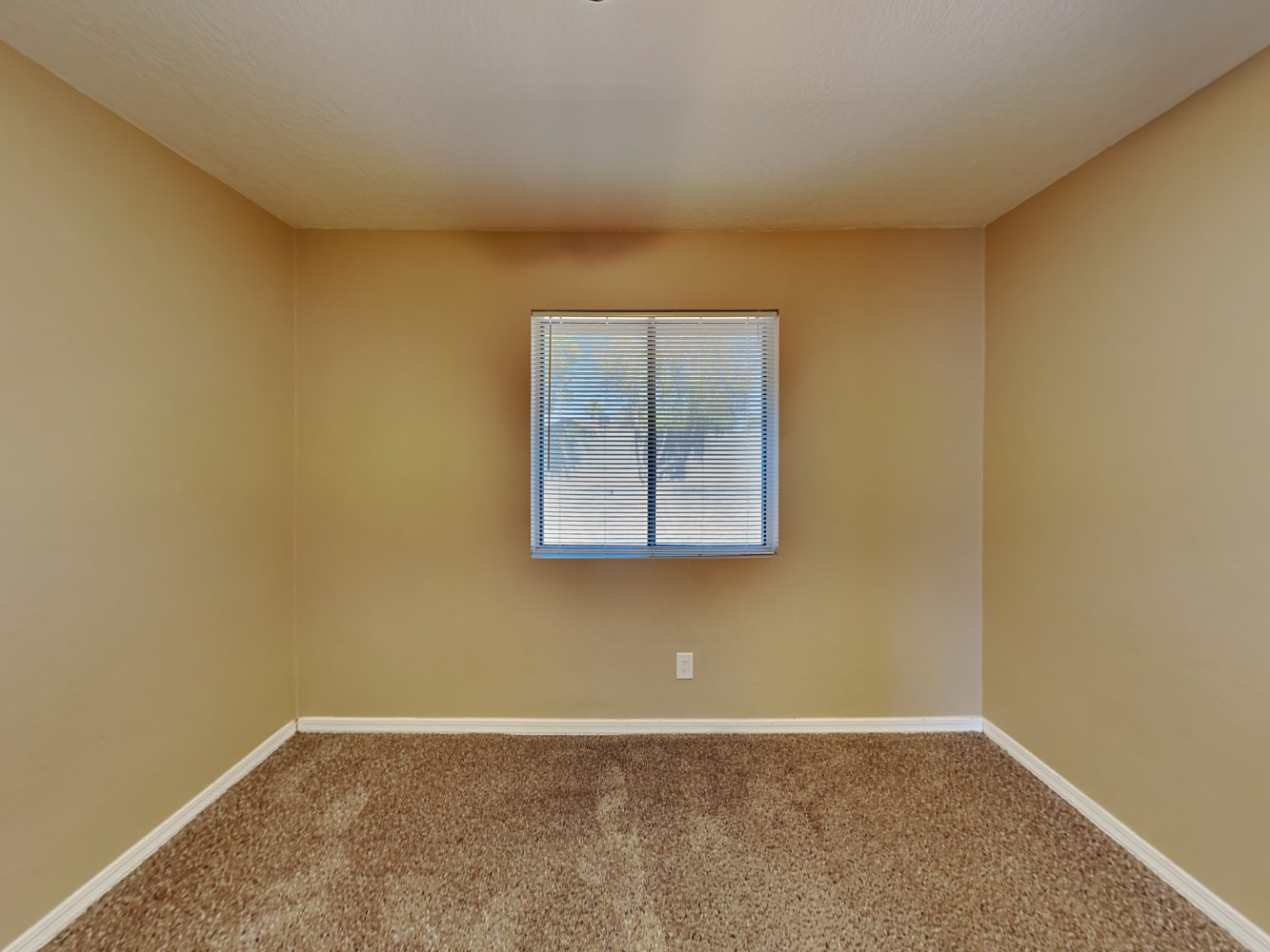 17842 N 31st St, Phoenix photo 13