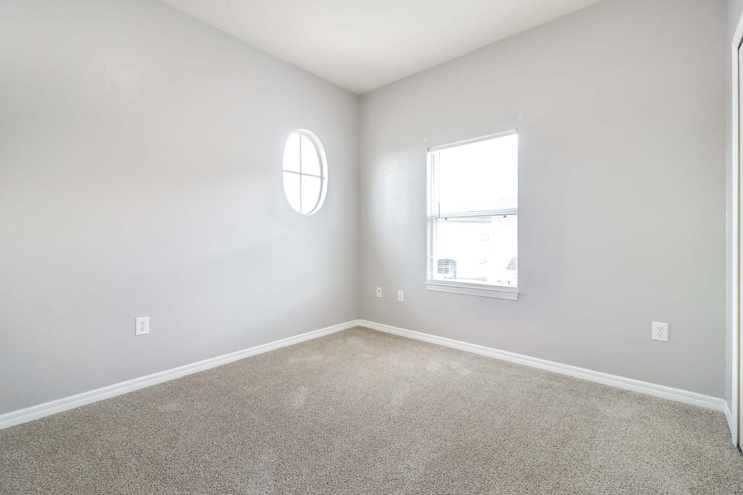 18002 Majestic Kings Pl, Tampa photo 12