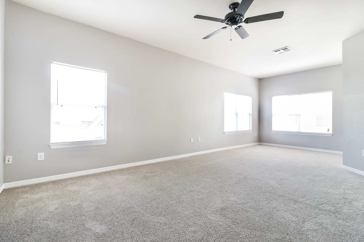 18002 Majestic Kings Pl, Tampa photo 9