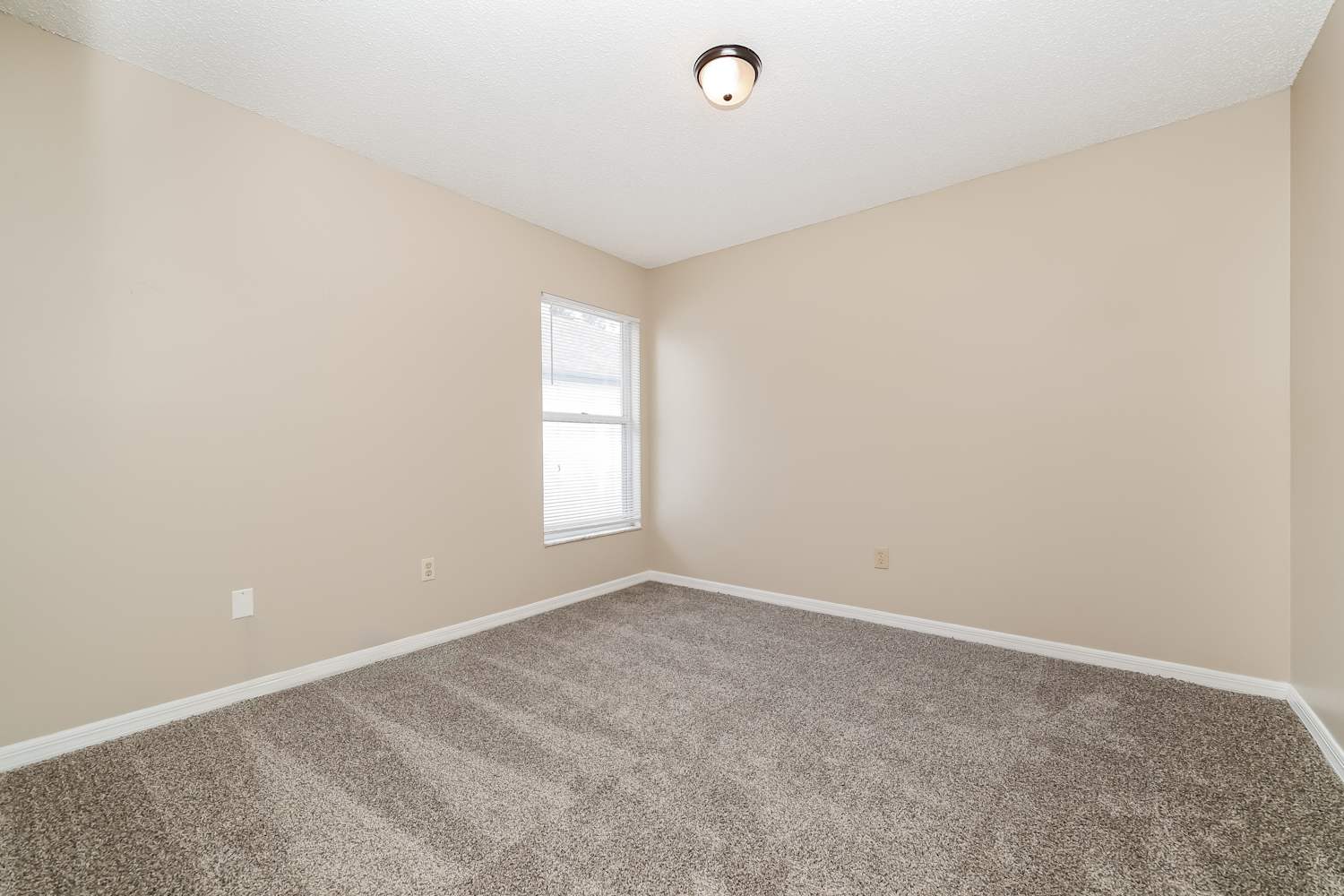 1809 Tinker Dr, Lutz photo 12