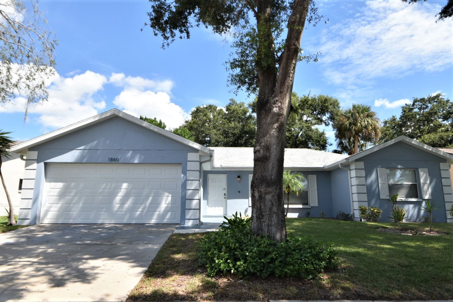 Front of 1860 Willow Oak Dr, Palm Harbor, FL