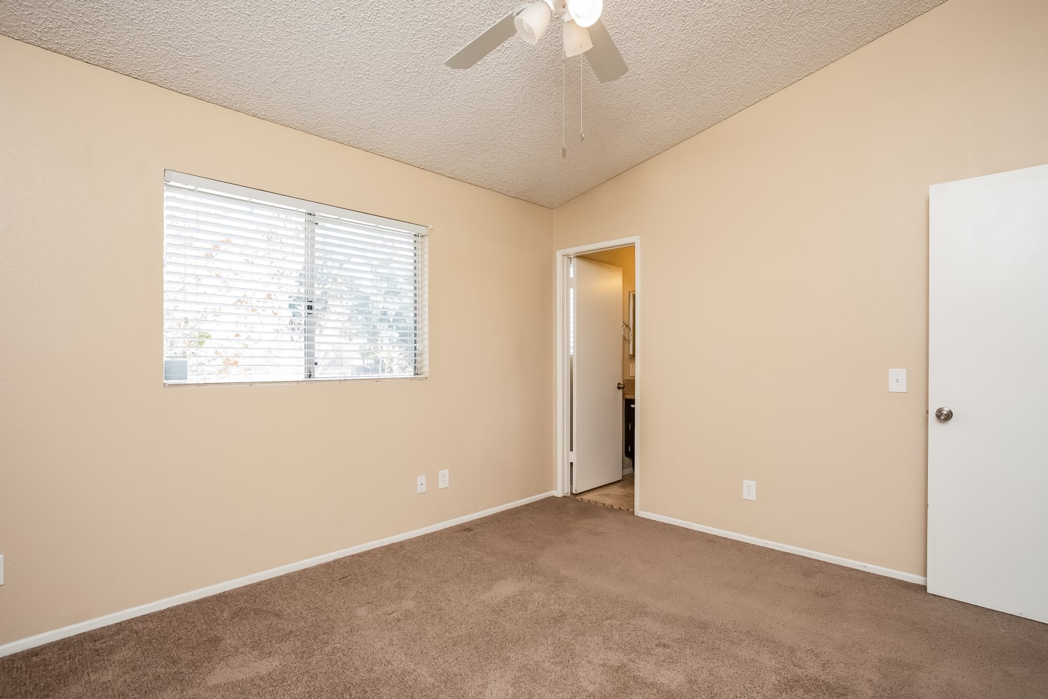 19086 Reindeer Dr, Lake Elsinore photo 11