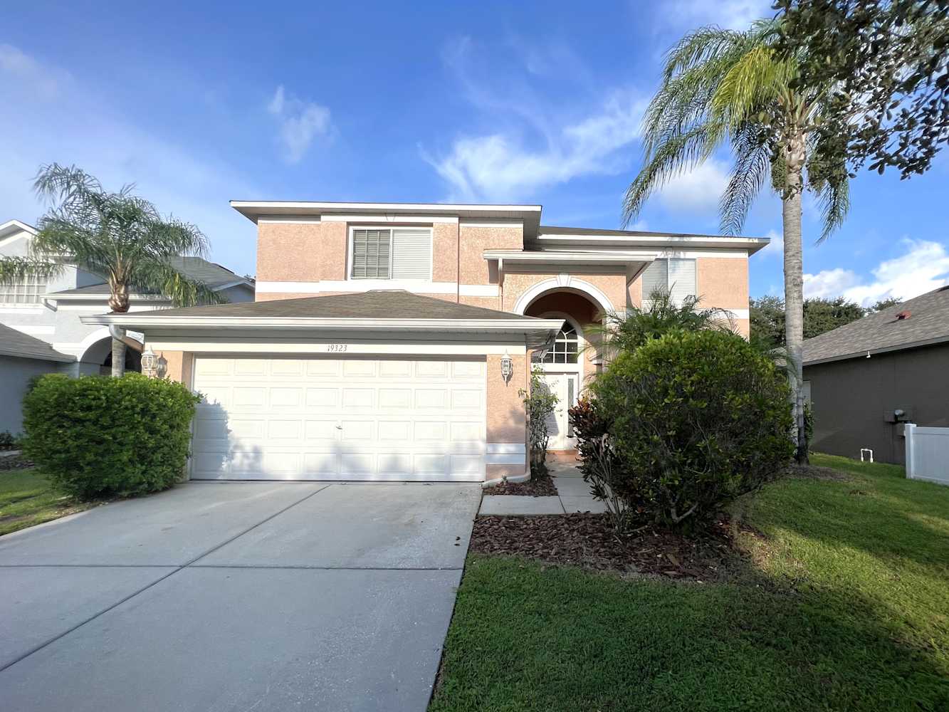 19323 Sea Mist Ln, Lutz photo 1