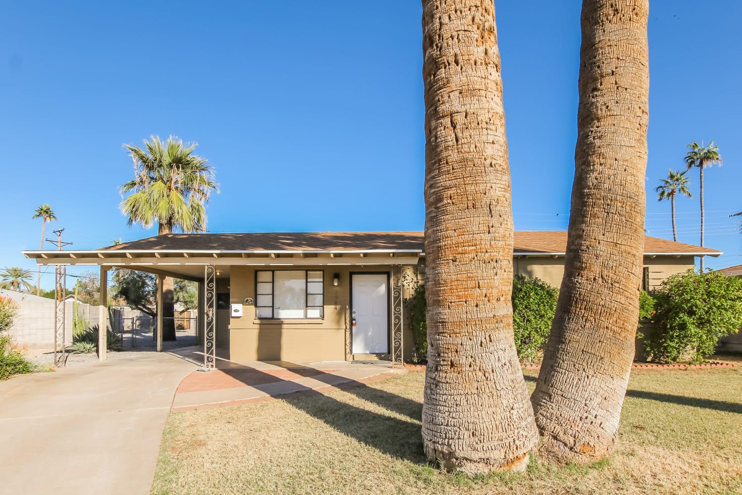 Front of 1944 W Gardenia Drive, Phoenix, AZ
