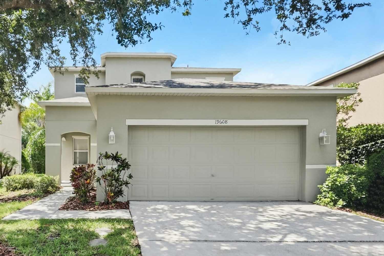 Front of 19608 Timberbluff Dr, Land O Lakes, FL