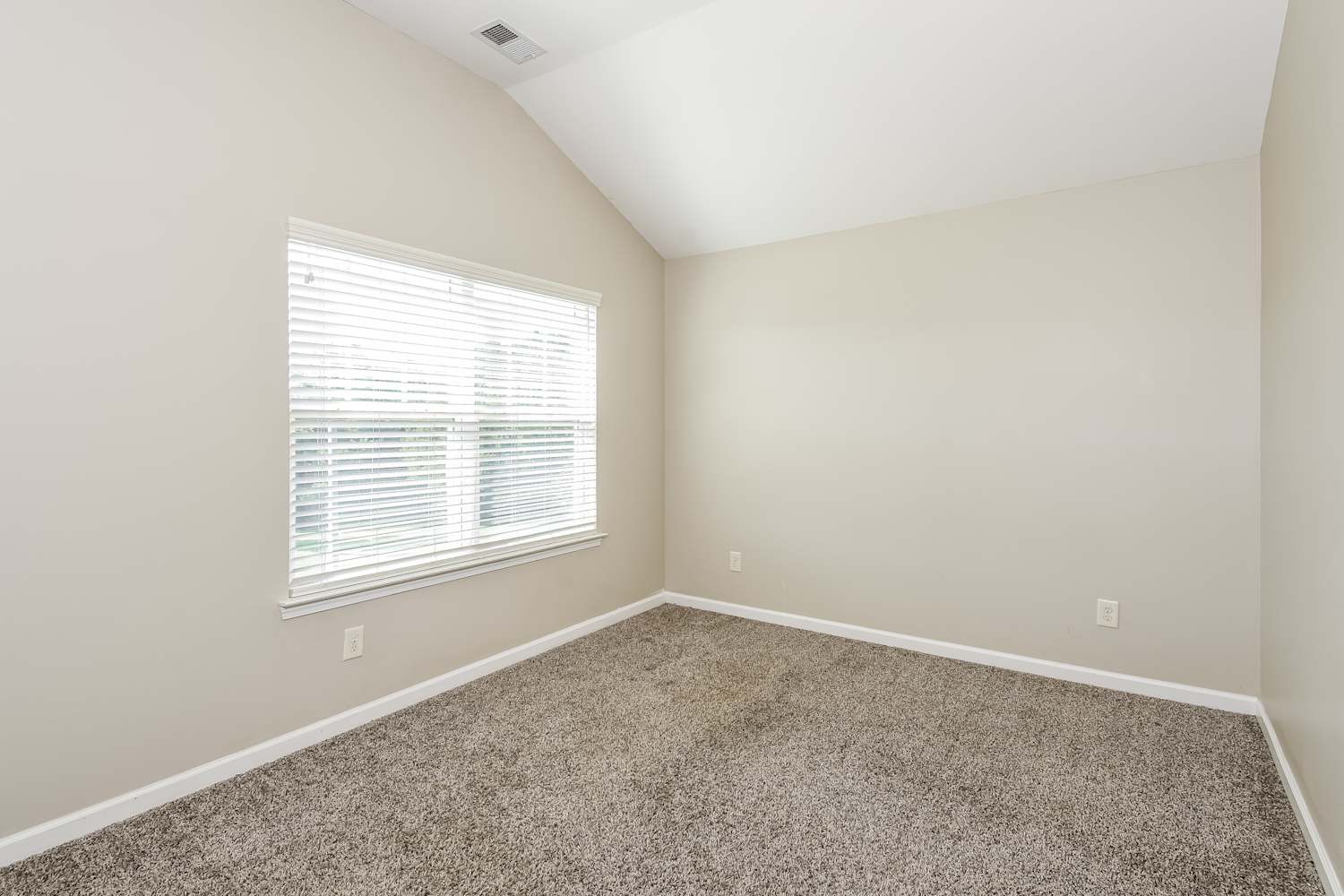 200 Reston Ct, Ball Ground photo 14