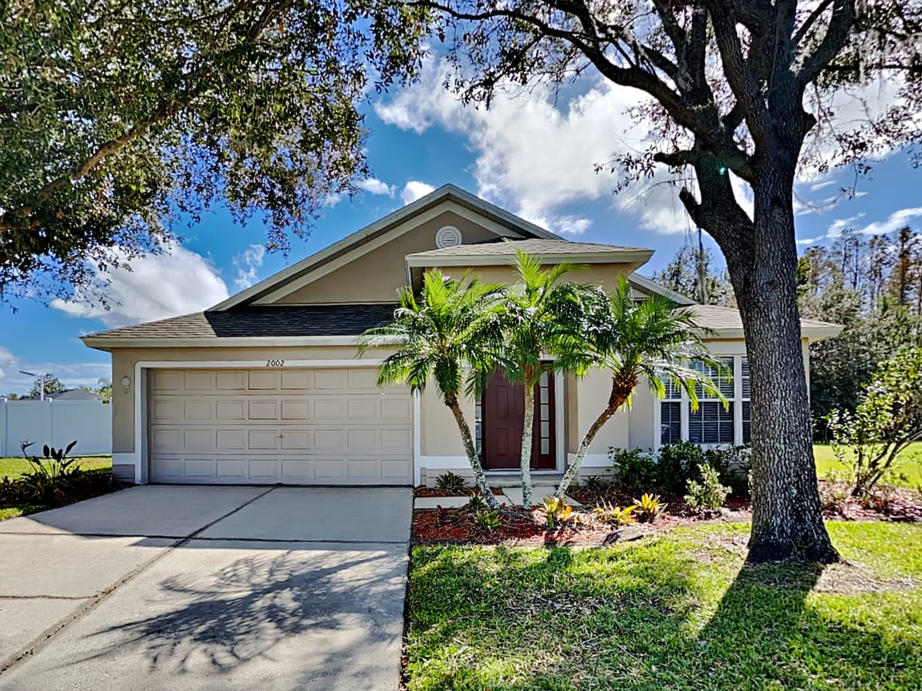 2002 Shelbourne Ct, Wesley Chapel photo 1