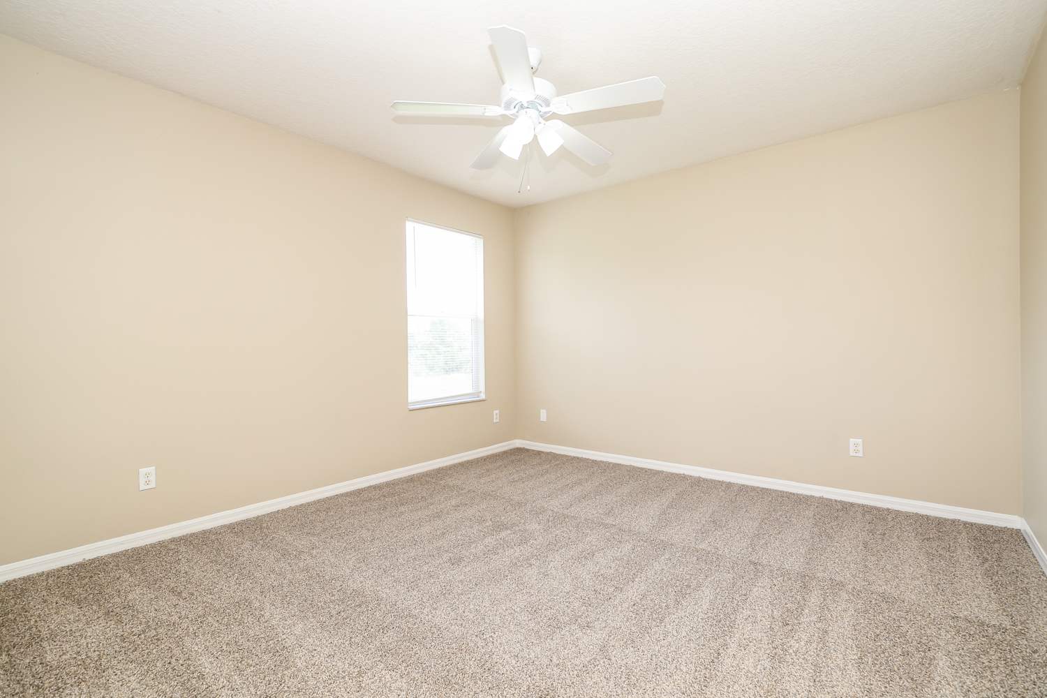20048 Nob Oak Ave, Tampa photo 12