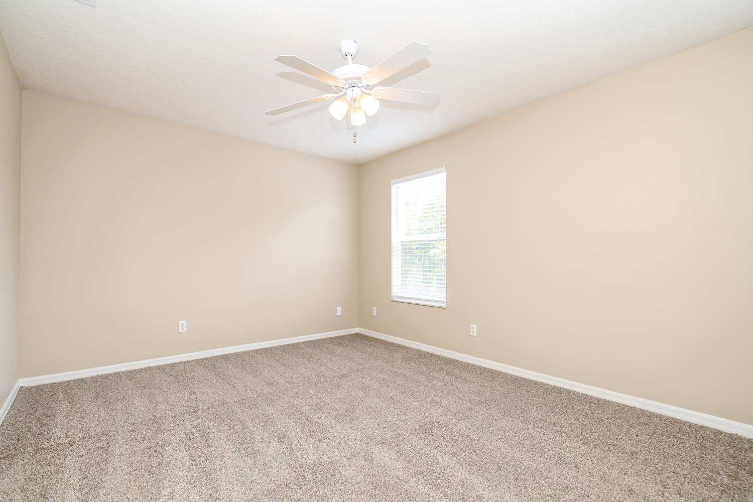 20048 Nob Oak Ave, Tampa photo 13