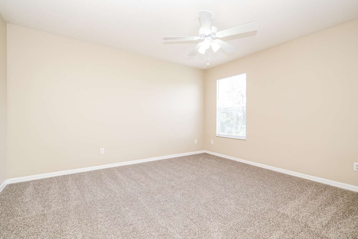 20048 Nob Oak Ave, Tampa photo 11