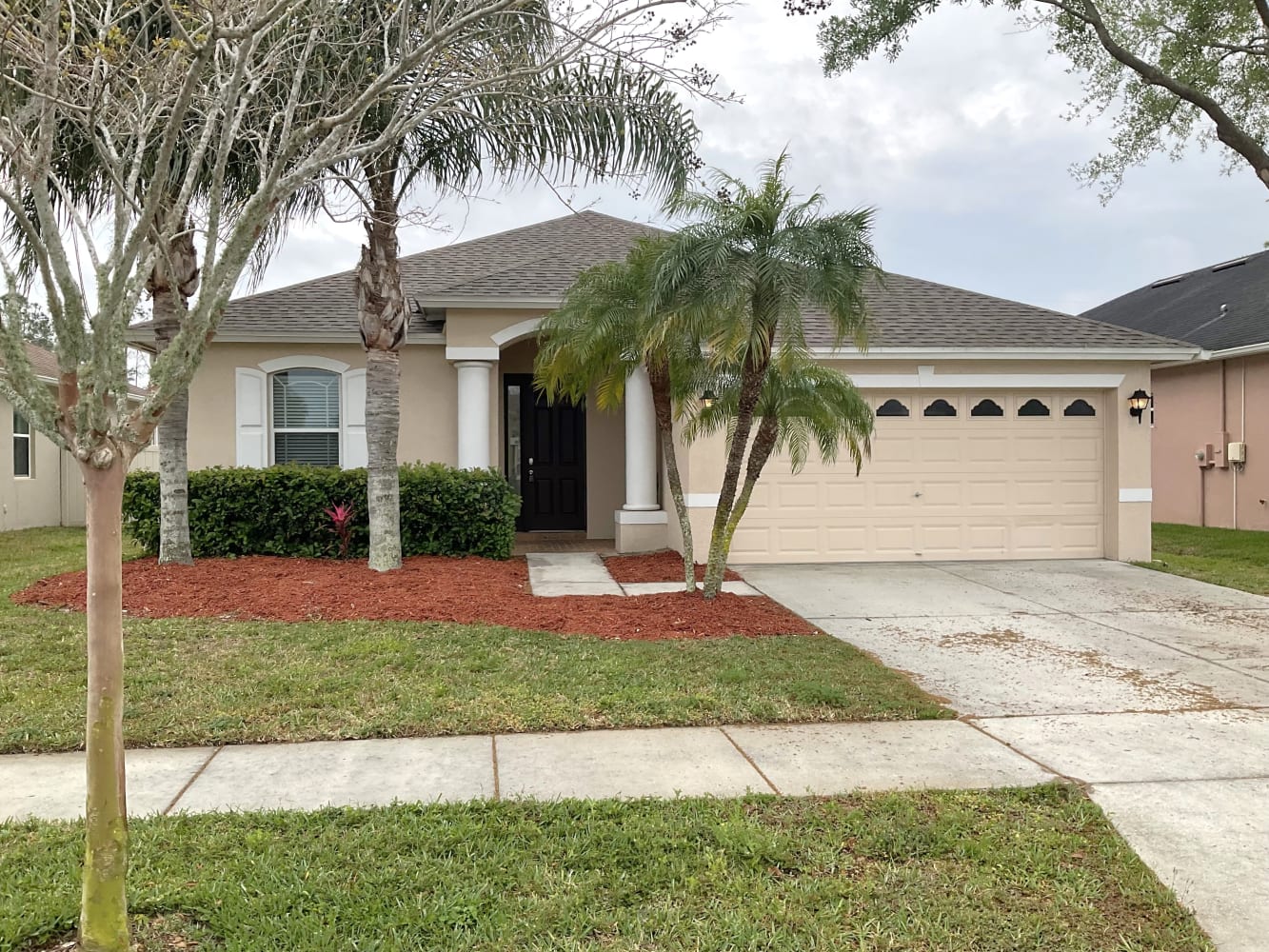 Front of 20422 Falling Rock Dr, Land O Lakes, FL