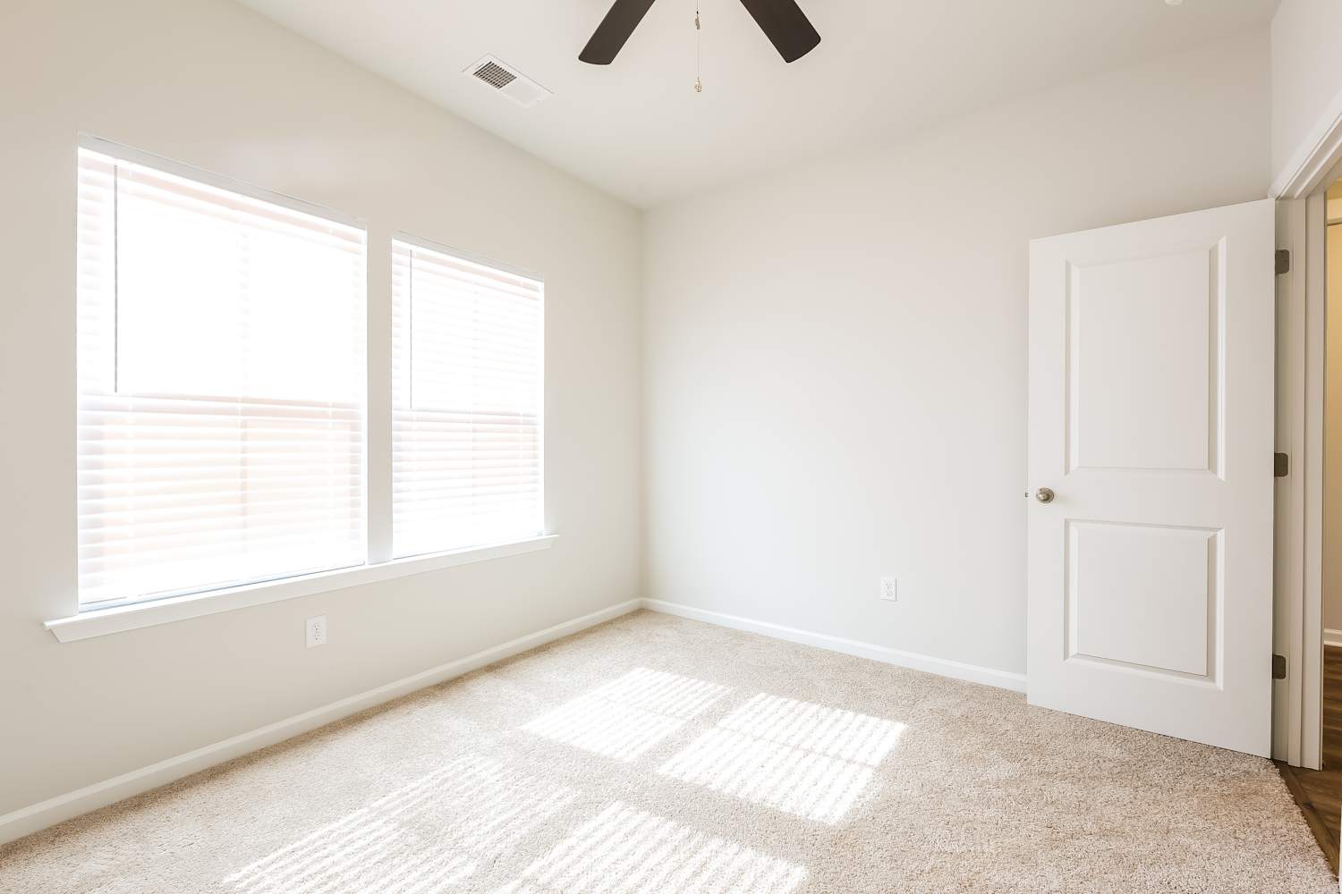 205 White Fields Ave, Fountain Inn photo 15