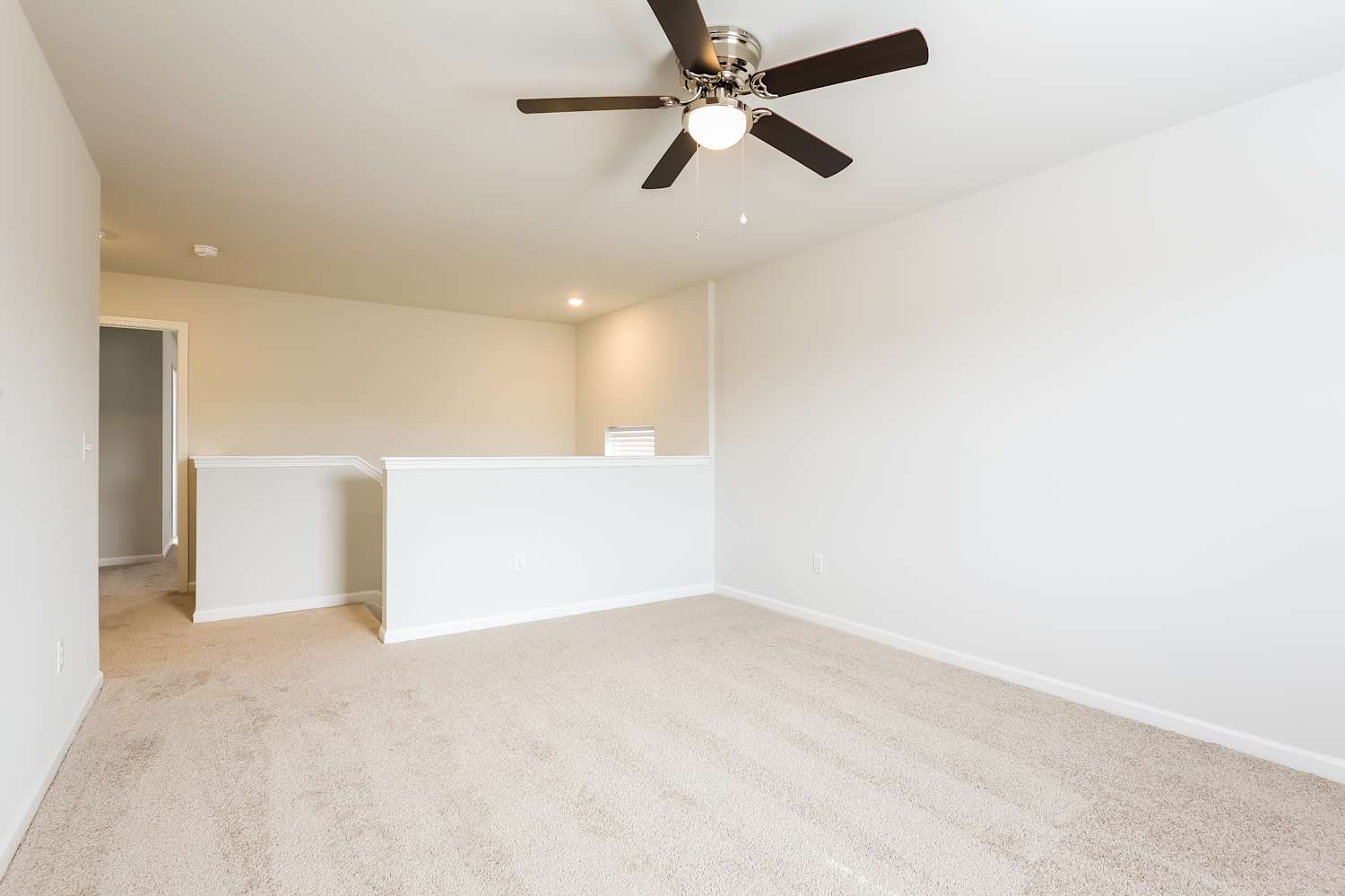 205 White Fields Ave, Fountain Inn photo 9