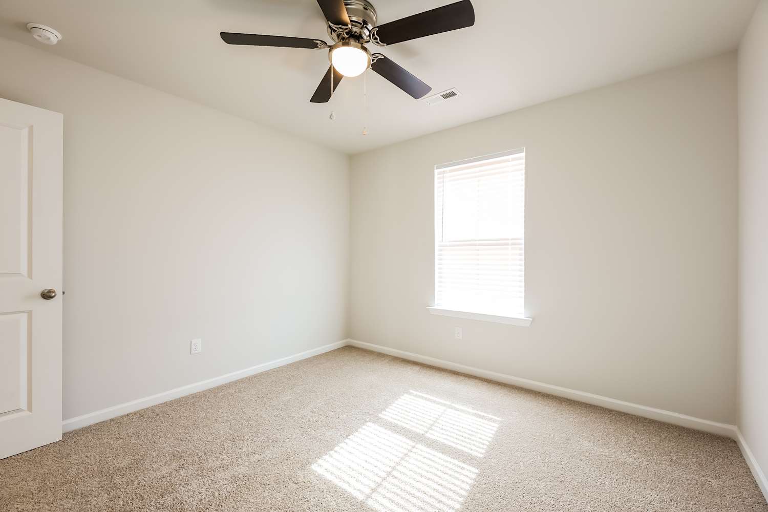 205 White Fields Ave, Fountain Inn photo 13