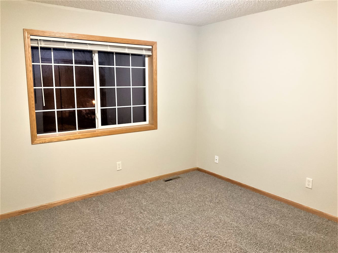 20720 Gemini Trl, Lakeville photo 17
