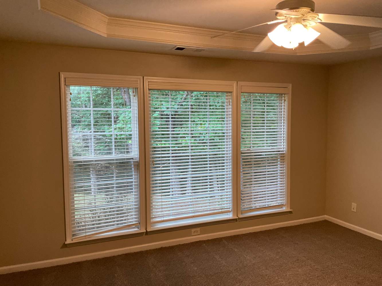 208 Whirlaway Cv, Woodstock photo 9