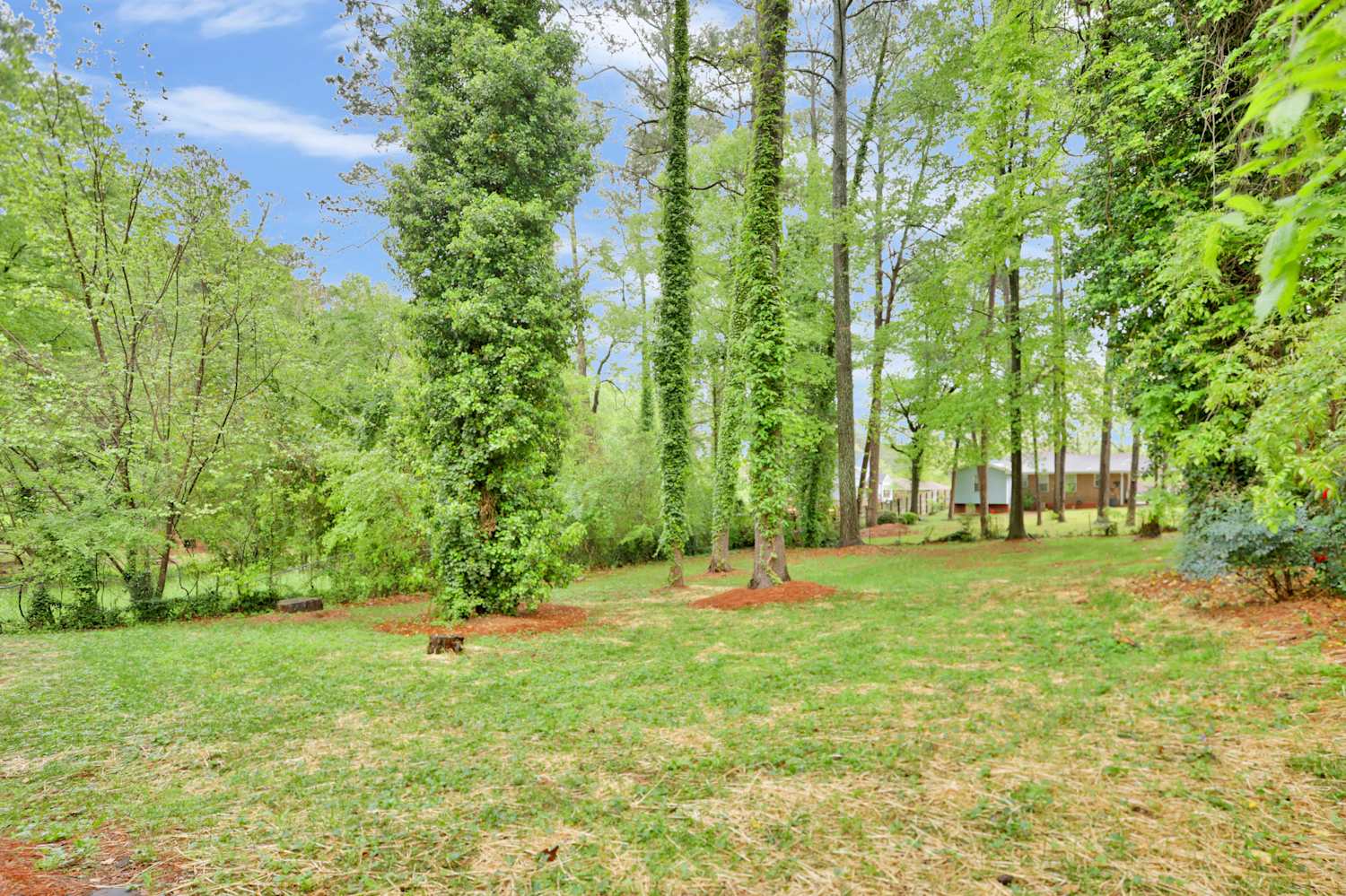2100 Dellwood Pl, Decatur photo 20