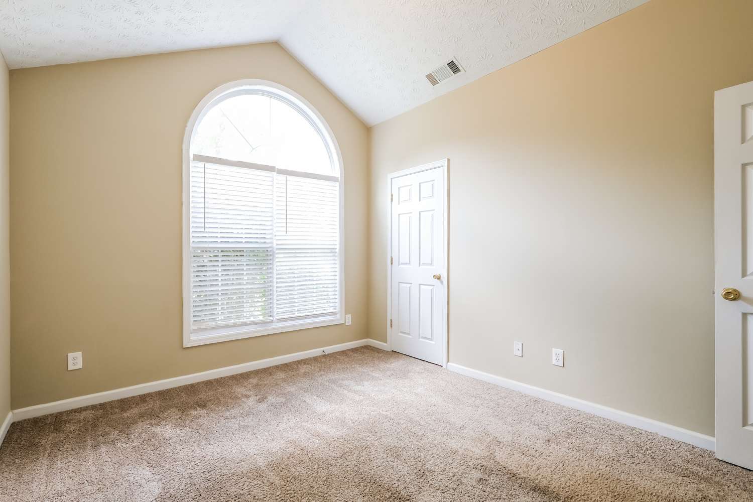 2121 Prospect Walk Way, Lawrenceville photo 13