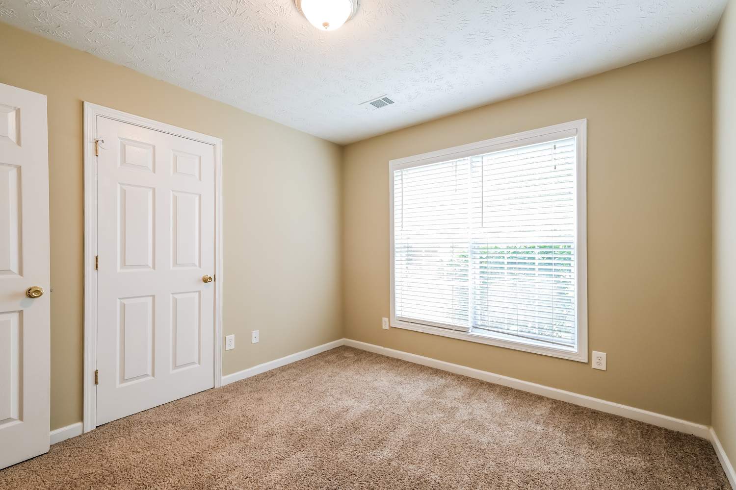 2121 Prospect Walk Way, Lawrenceville photo 14