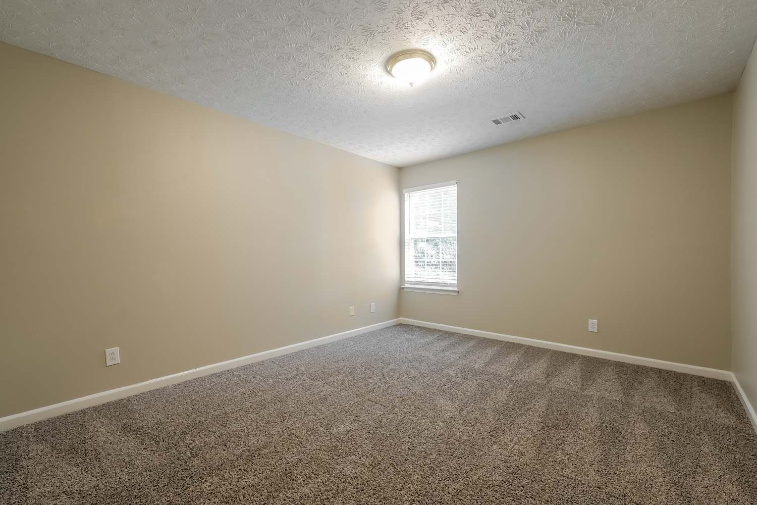 2195 Lexington Ln, Cumming photo 13