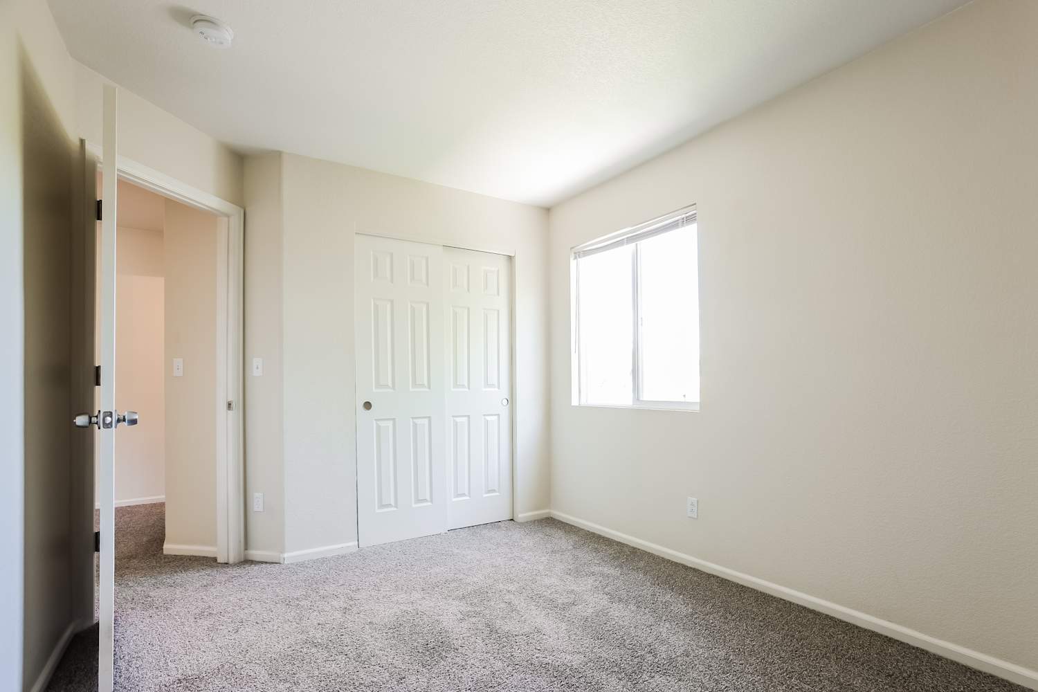 2205 E 127th Pl, Thornton photo 13