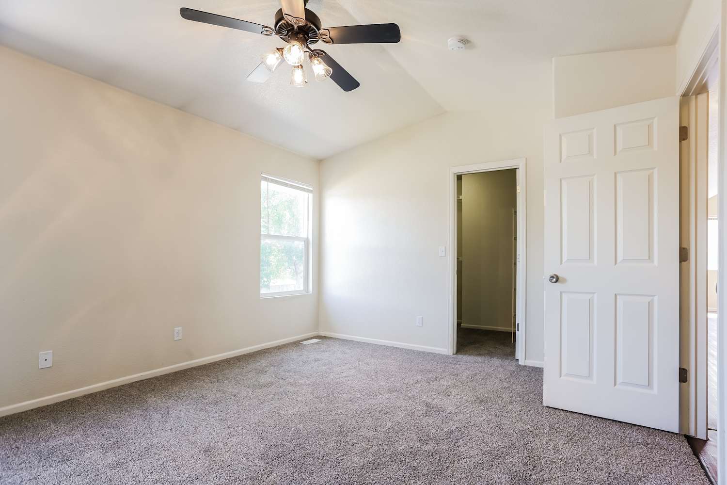 2205 E 127th Pl, Thornton photo 10