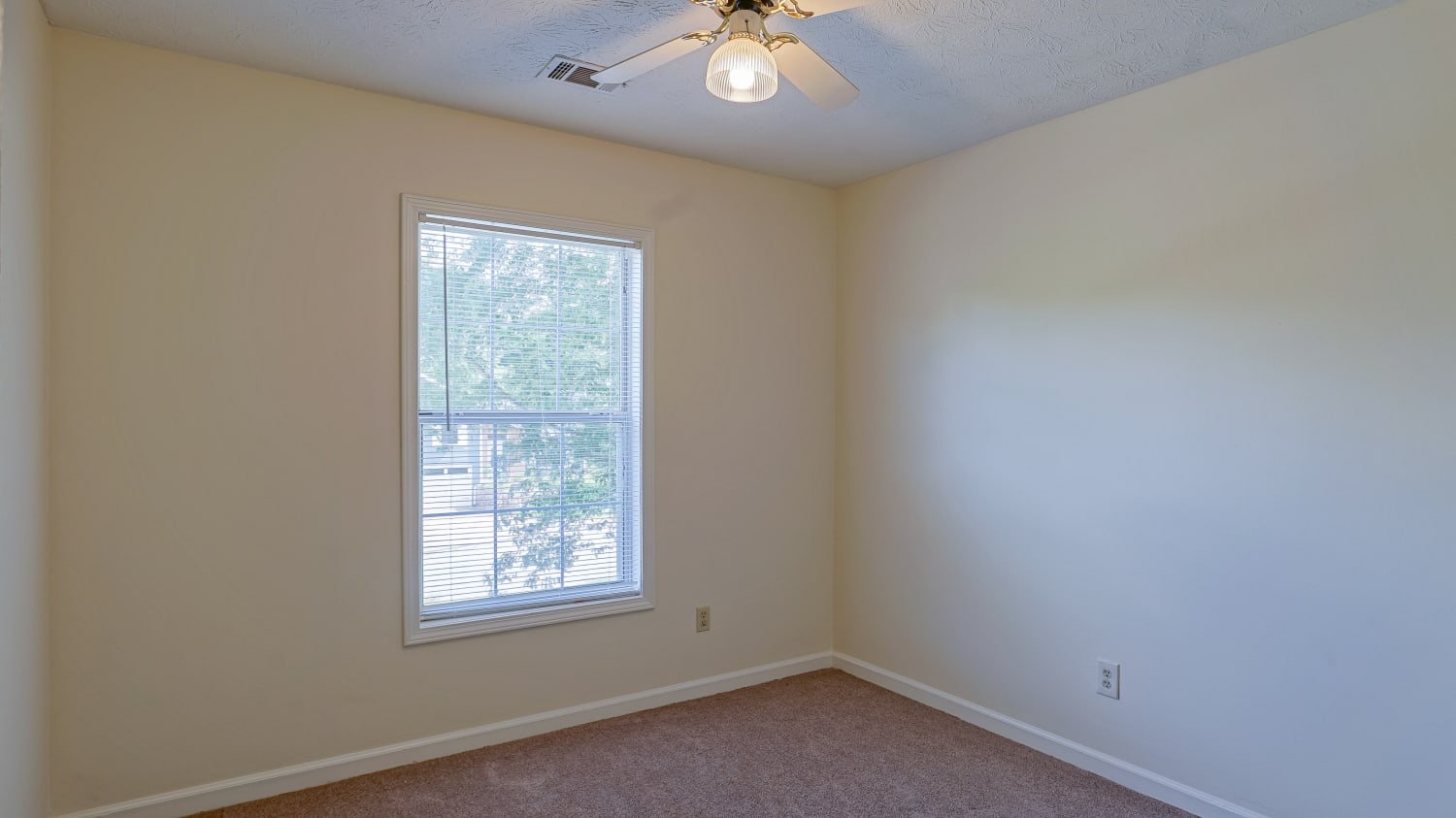 221 River Birch Dr, McDonough photo 3