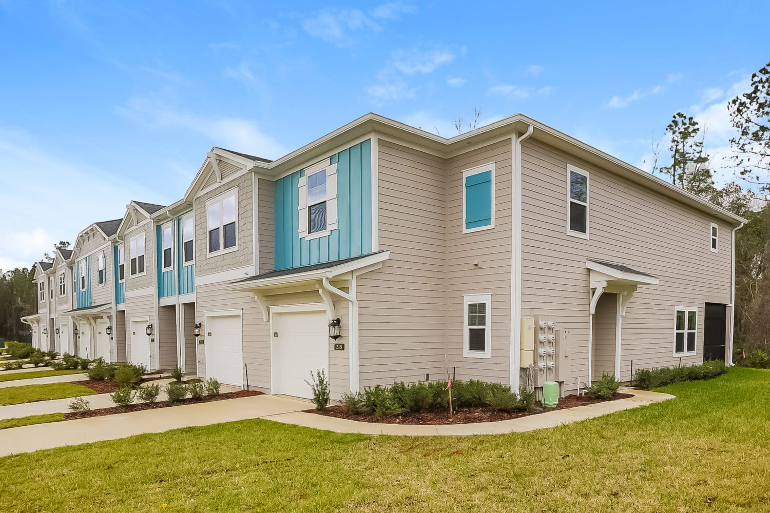 222 Sweet Lemon Ln, Orange Park photo 4