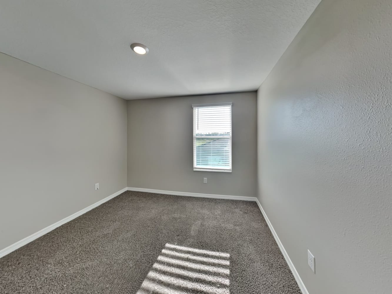 2242 Treesdale Ave, Ruskin photo 14