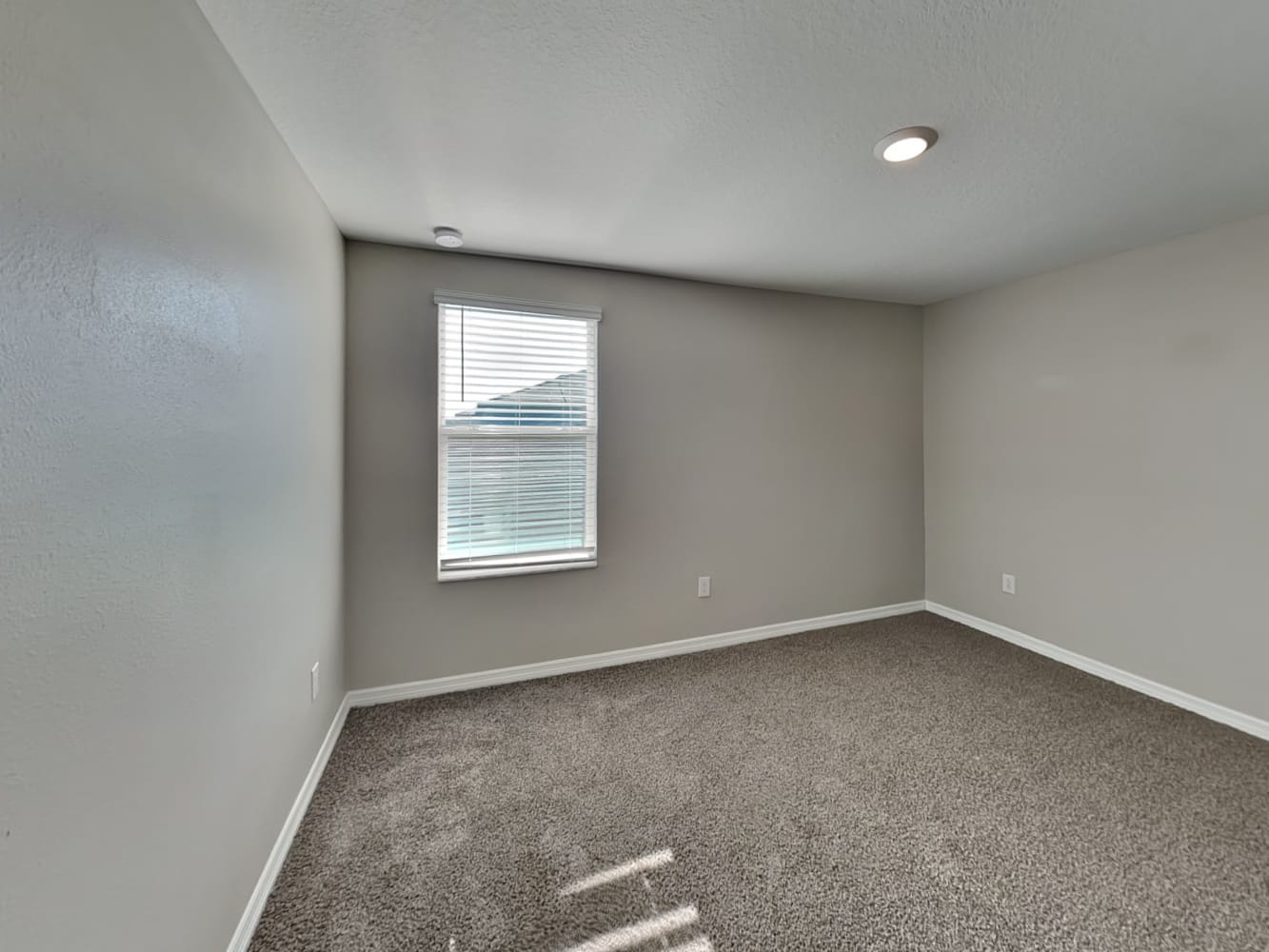 2242 Treesdale Ave, Ruskin photo 16
