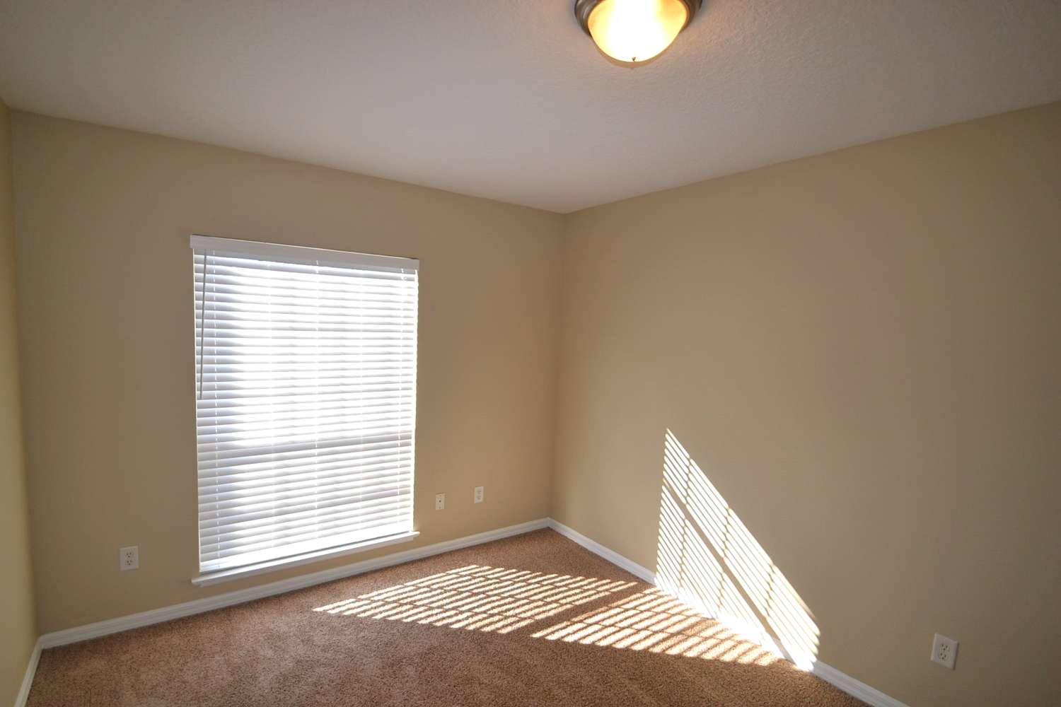 225 Copper Oak Ct, Apopka photo 7