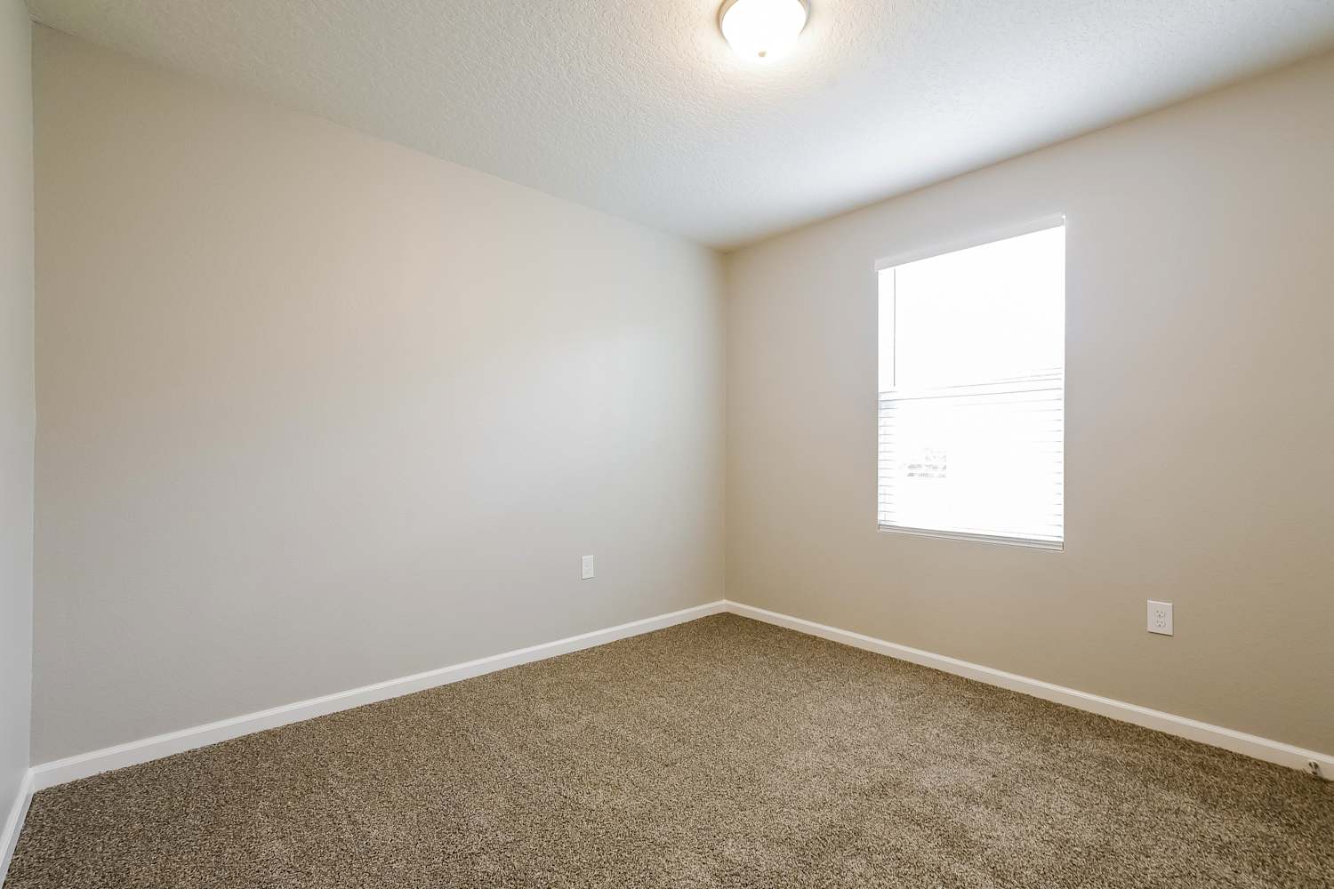 2288 Litchfield Loop, Deland photo 13