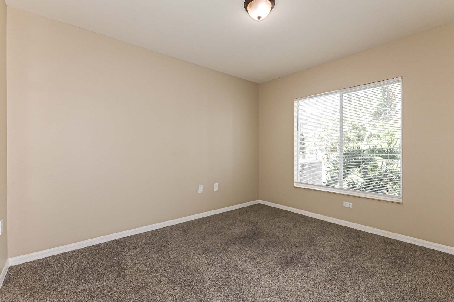 2313 Nesslewood Dr, Wesley Chapel photo 13