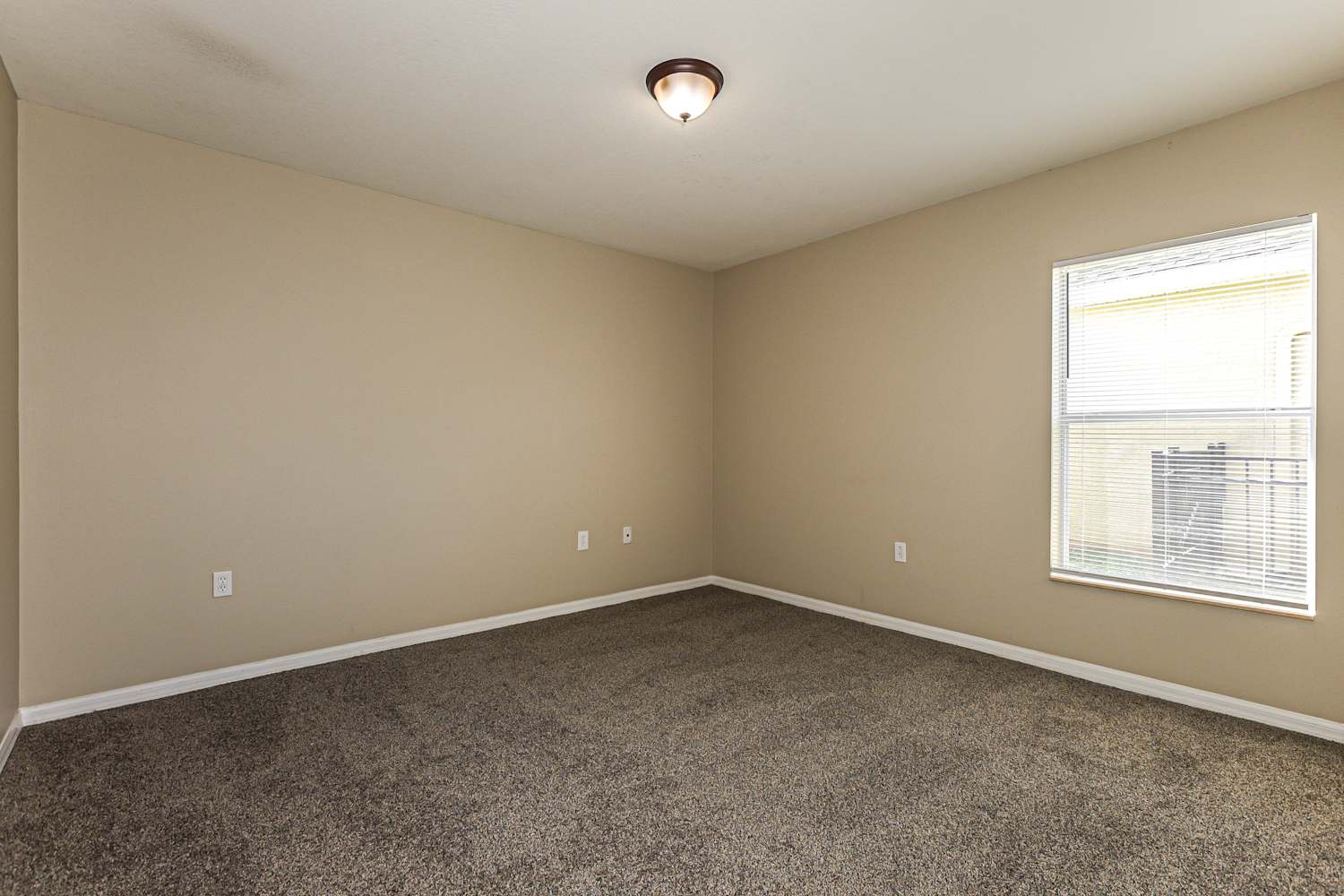 2313 Nesslewood Dr, Wesley Chapel photo 14