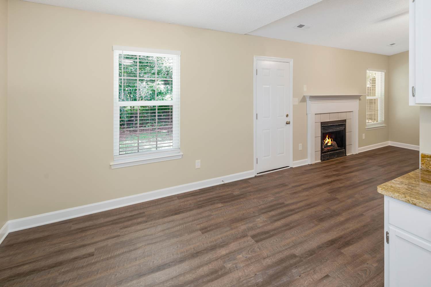 234 Graham Meadow Dr, Charlotte photo 8