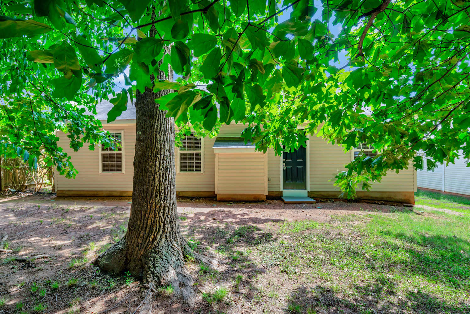 234 Graham Meadow Dr, Charlotte photo 25