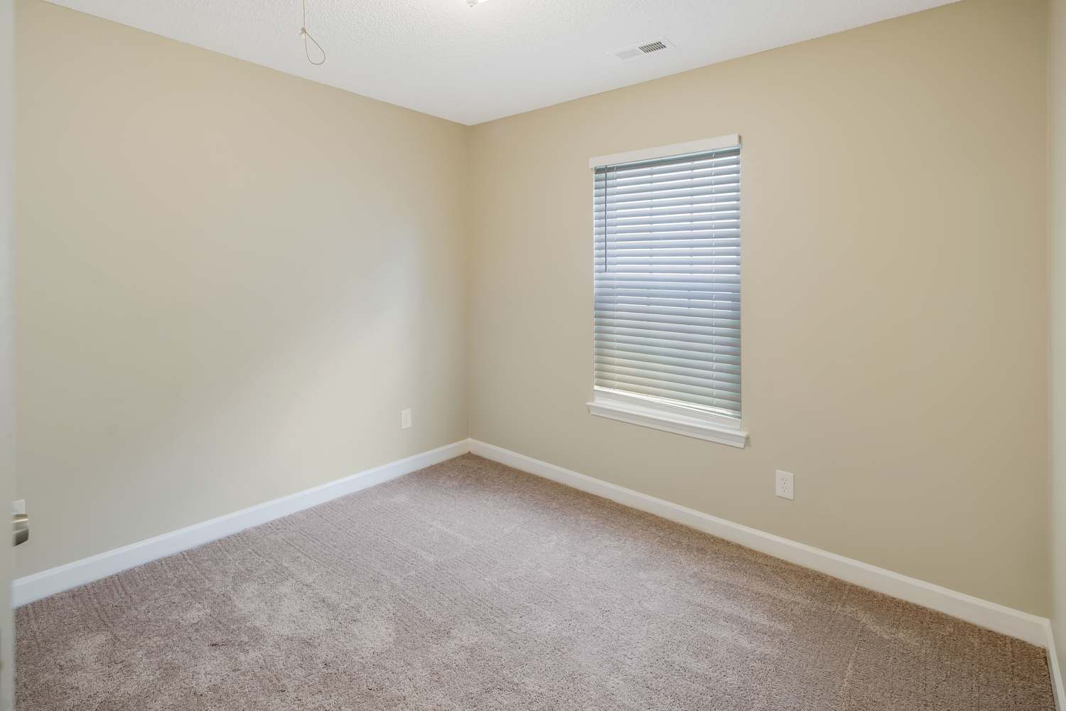 234 Graham Meadow Dr, Charlotte photo 19