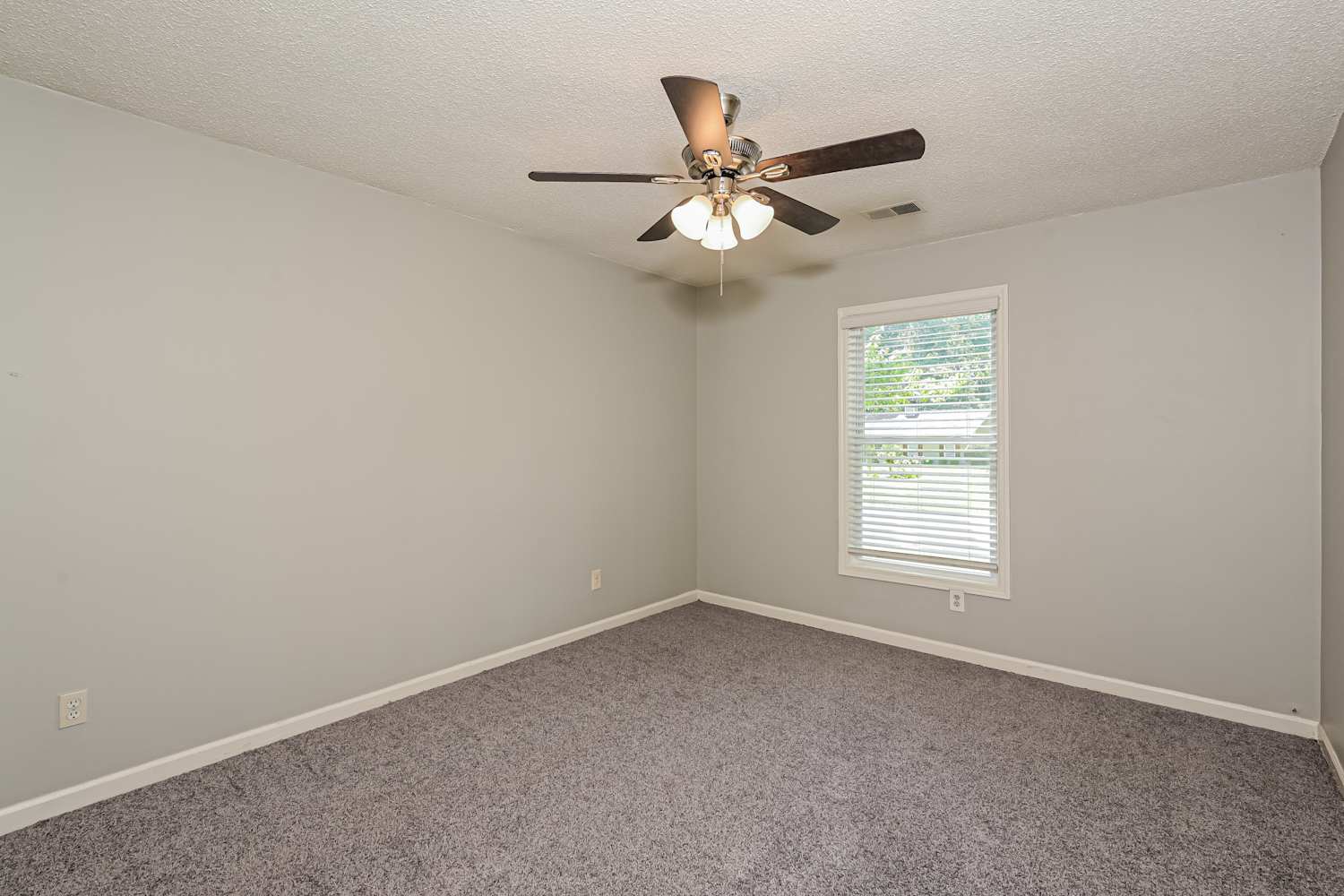 2390 Hinton Rd, Dacula photo 14