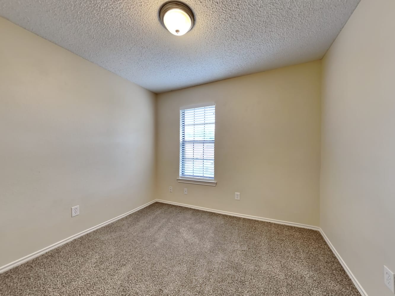 2404 Beaver Run, Garland photo 13