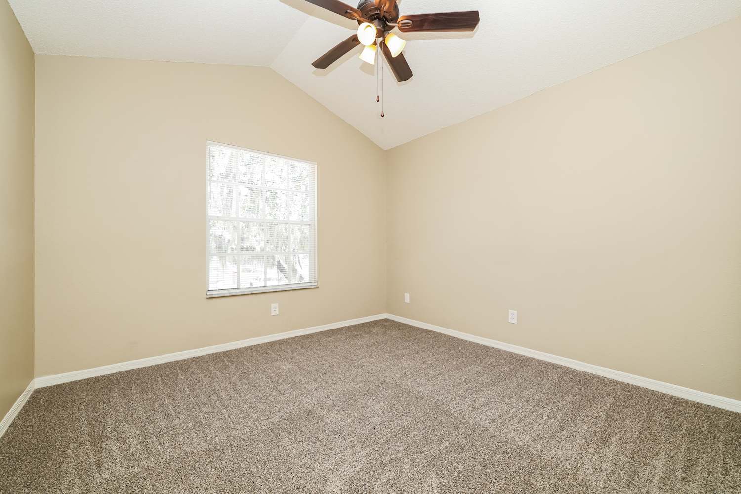 2404 Needham Dr, Valrico photo 12