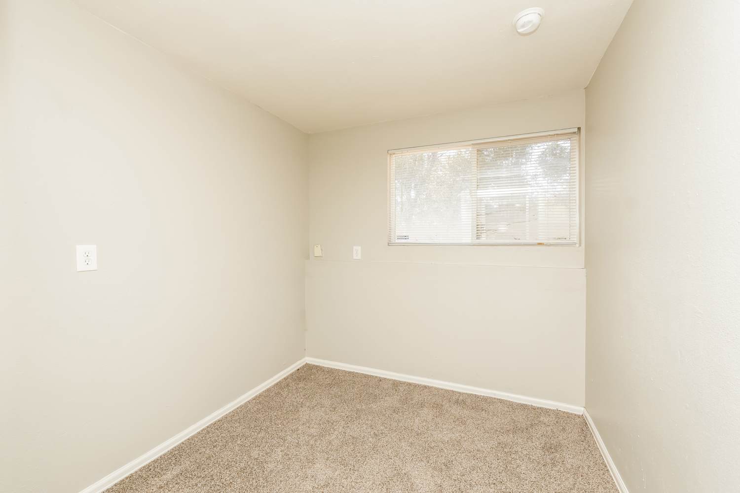 2410 Payne Cir W, Colorado Springs photo 14