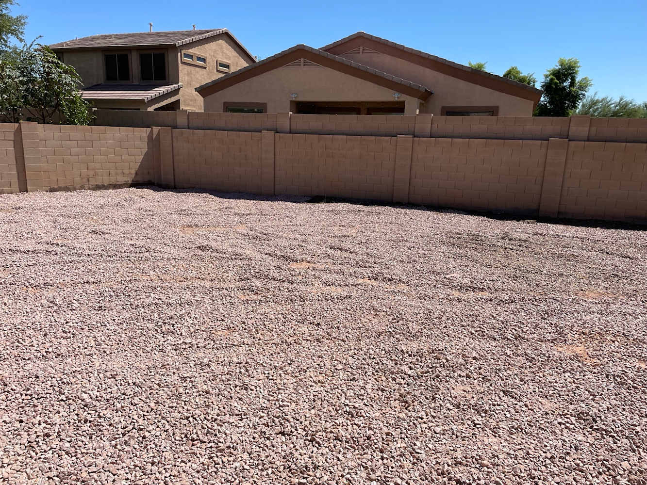 2460 East Wildhorse Pl, Chandler photo 14