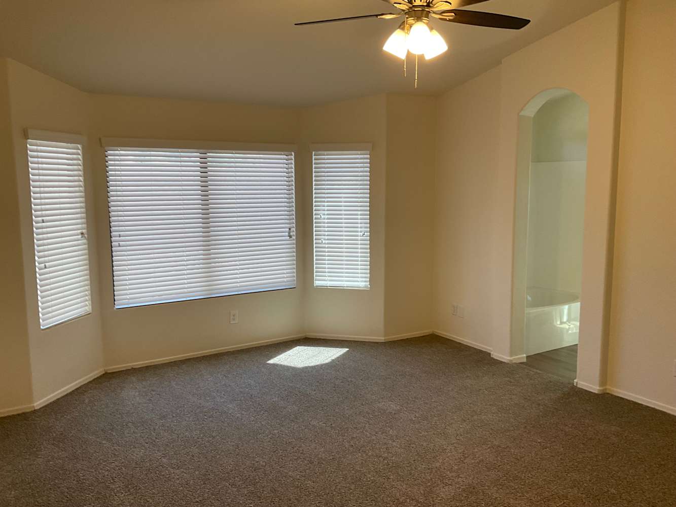 2460 East Wildhorse Pl, Chandler photo 11