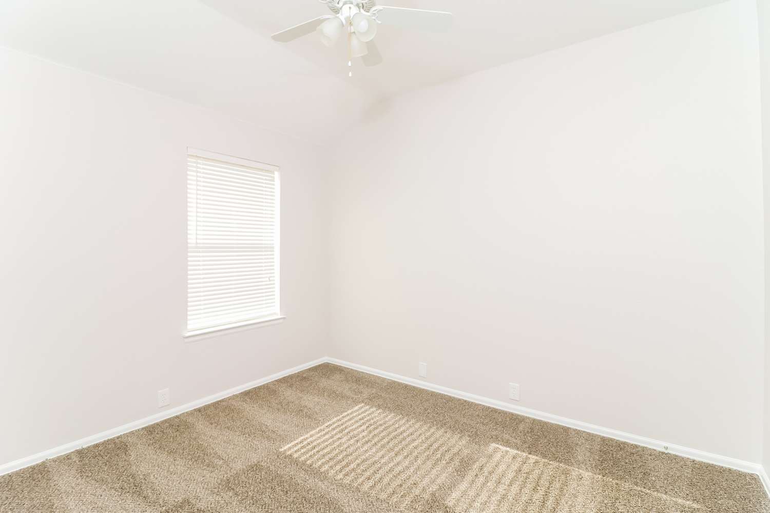 2513 Stonewall Ln, Fort Worth photo 12