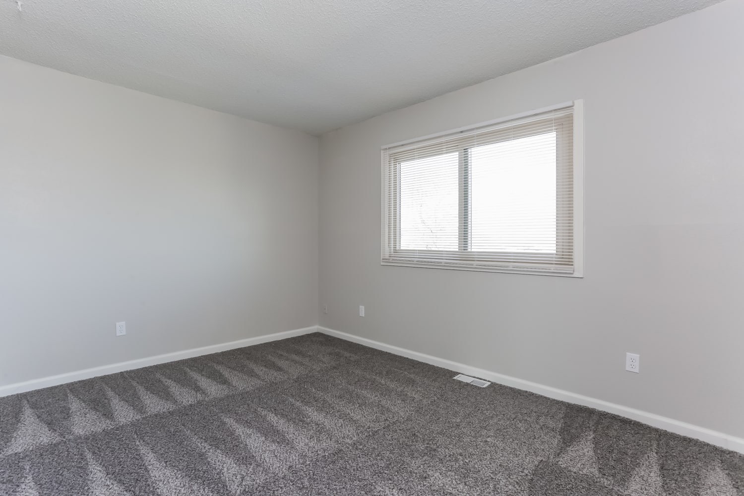 2569 E 102nd Ave, Thornton photo 12