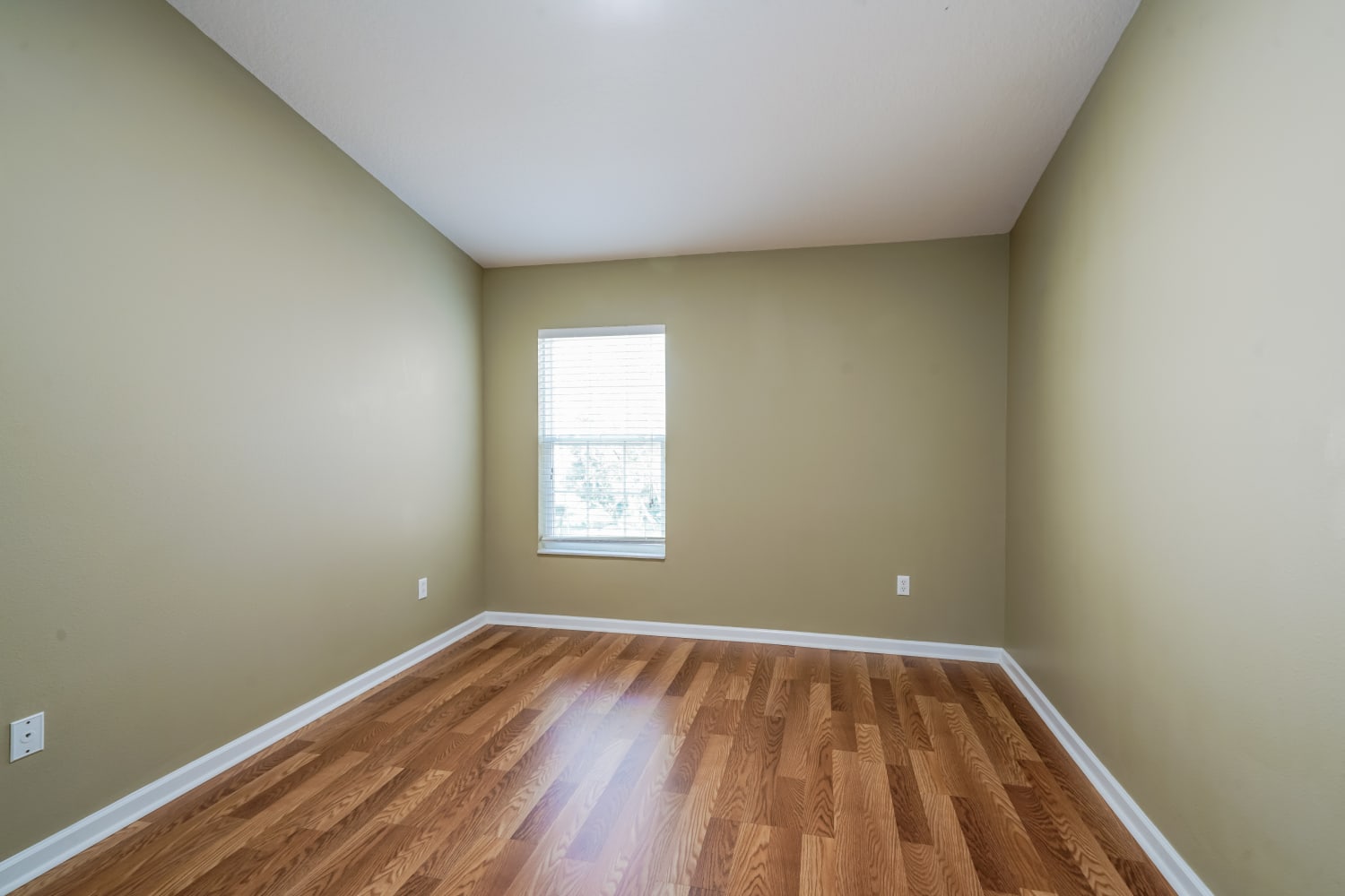 26648 Castleview Way, Wesley Chapel photo 11