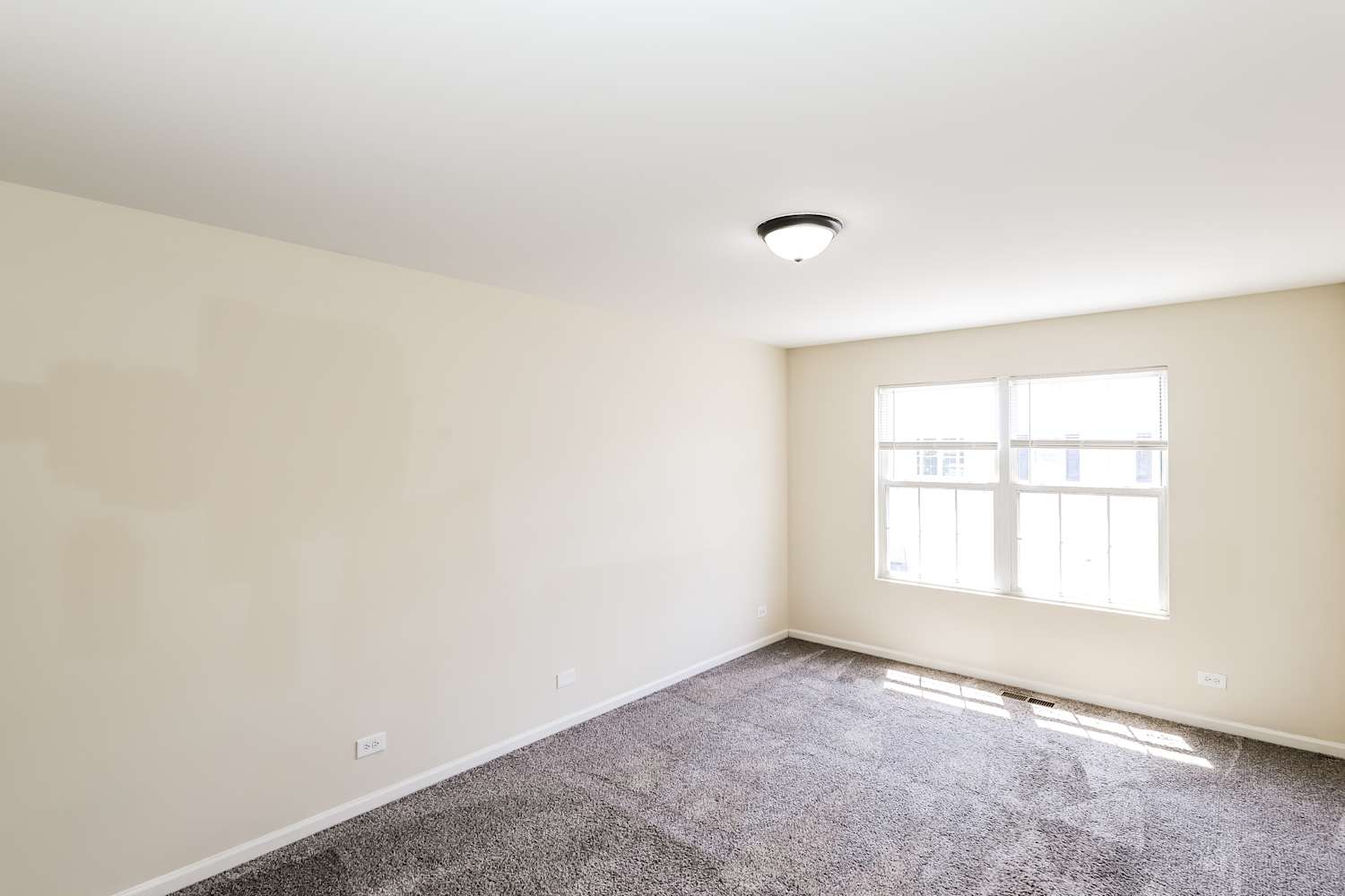 271 Springbrook Trl S, Oswego photo 7