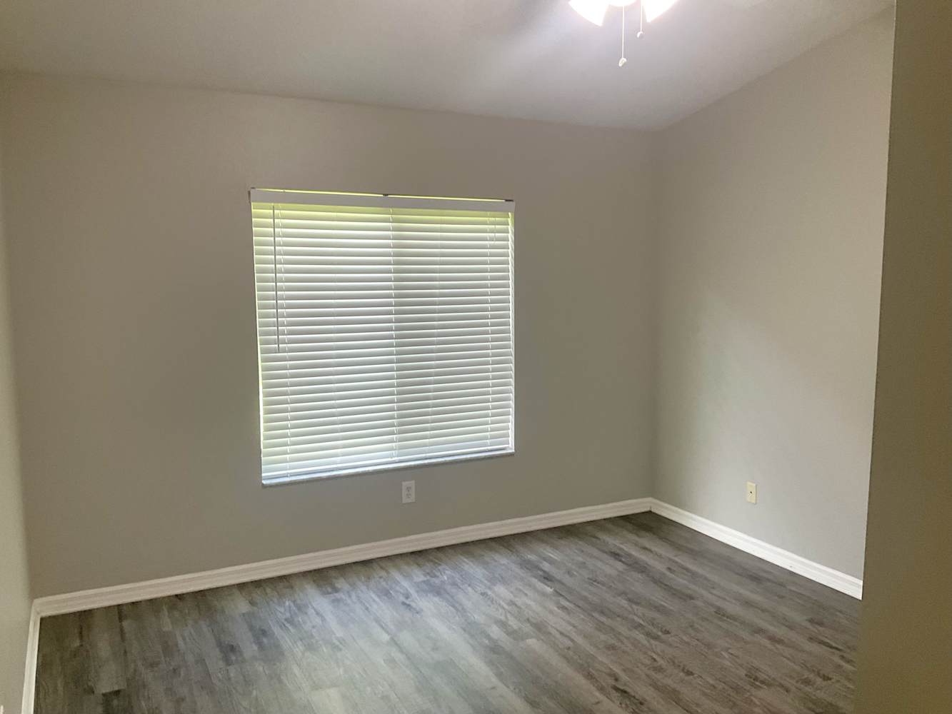 2822 Laurel Leaf Dr, Valrico photo 9